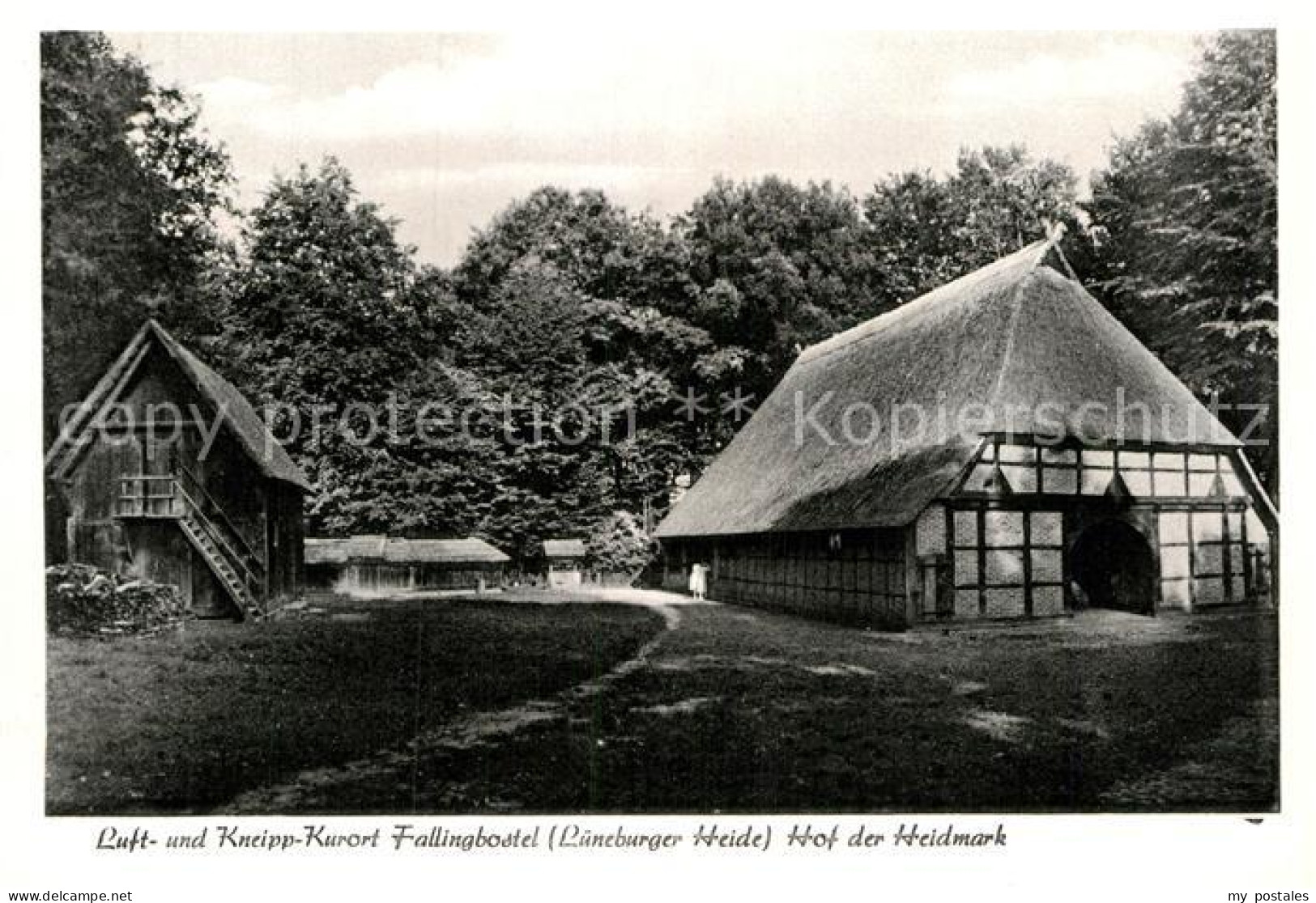 72955986 Fallingbostel Hof Der Heidmark  Bad Fallingbostel - Fallingbostel