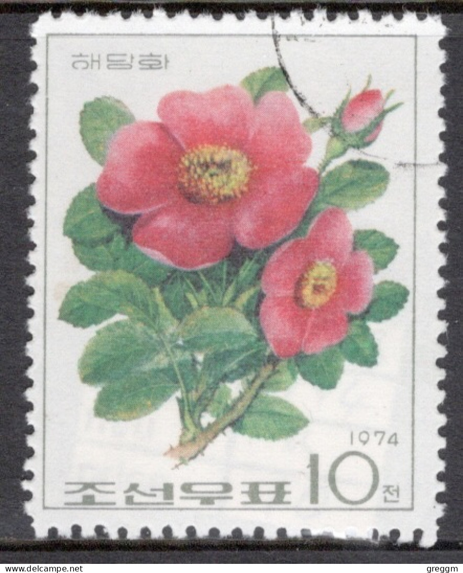 North Korea 1974 Single Stamp To Celebrate Roses In Fine Used. - Corée Du Nord