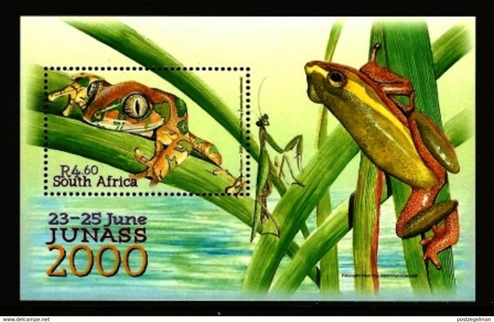 RSA, 2000, MNH Stamp(s) On MS , Junass Frogs, Michel Nr(s).  Block 81 Scannr. F3781 - Unused Stamps