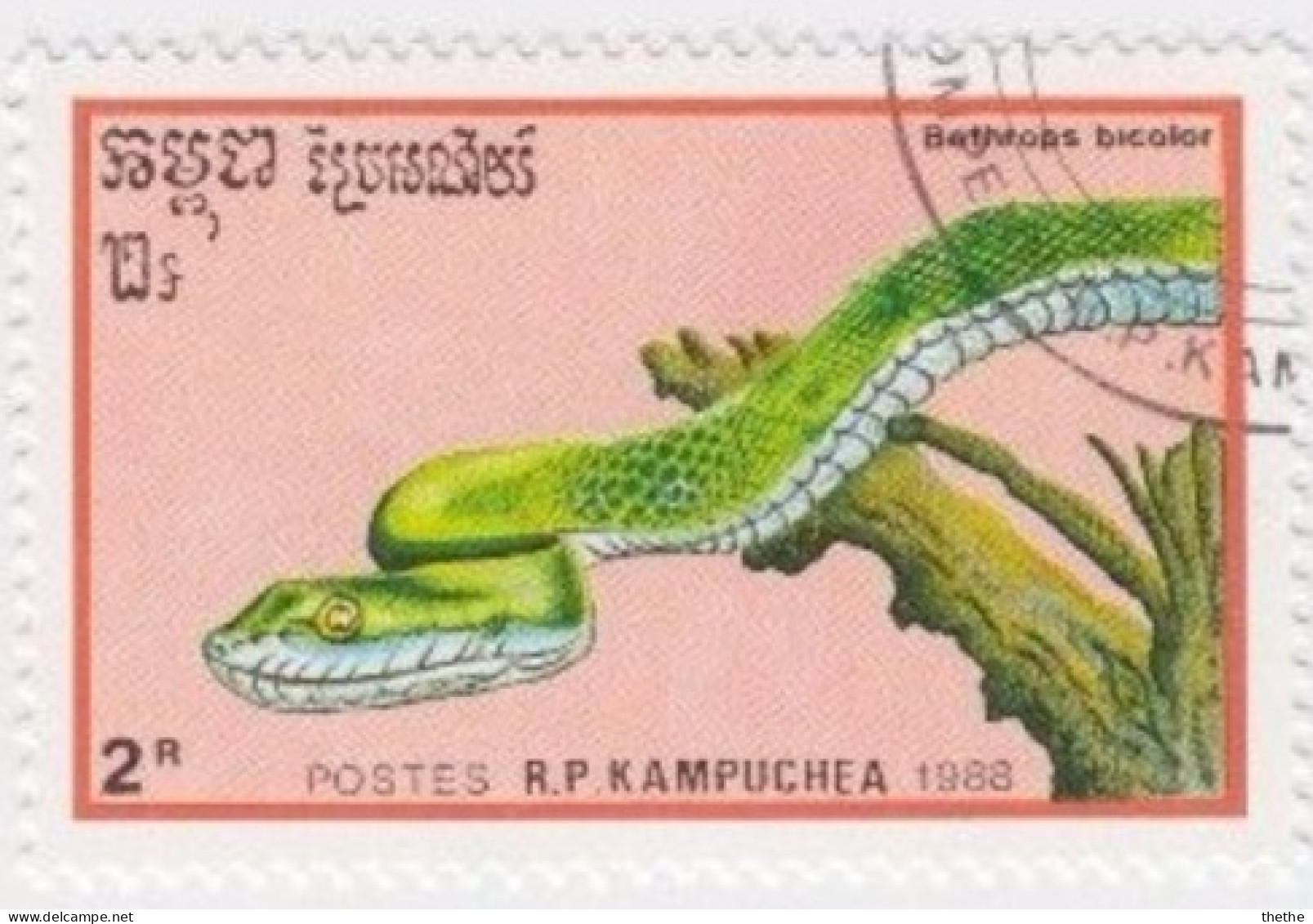 KAMPUCHEA  -  Serpent : Bothrops Bicolor - Serpientes