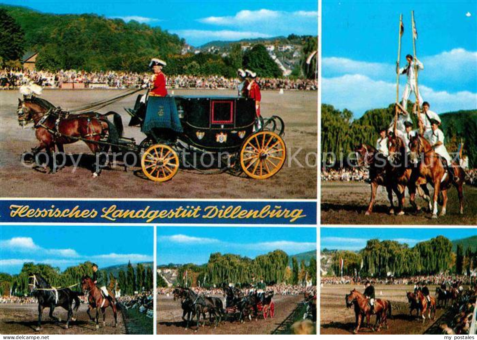 72769051 Dillenburg Hengstparade Hessisches Landgestuet Pferdesport Dillenburg - Dillenburg