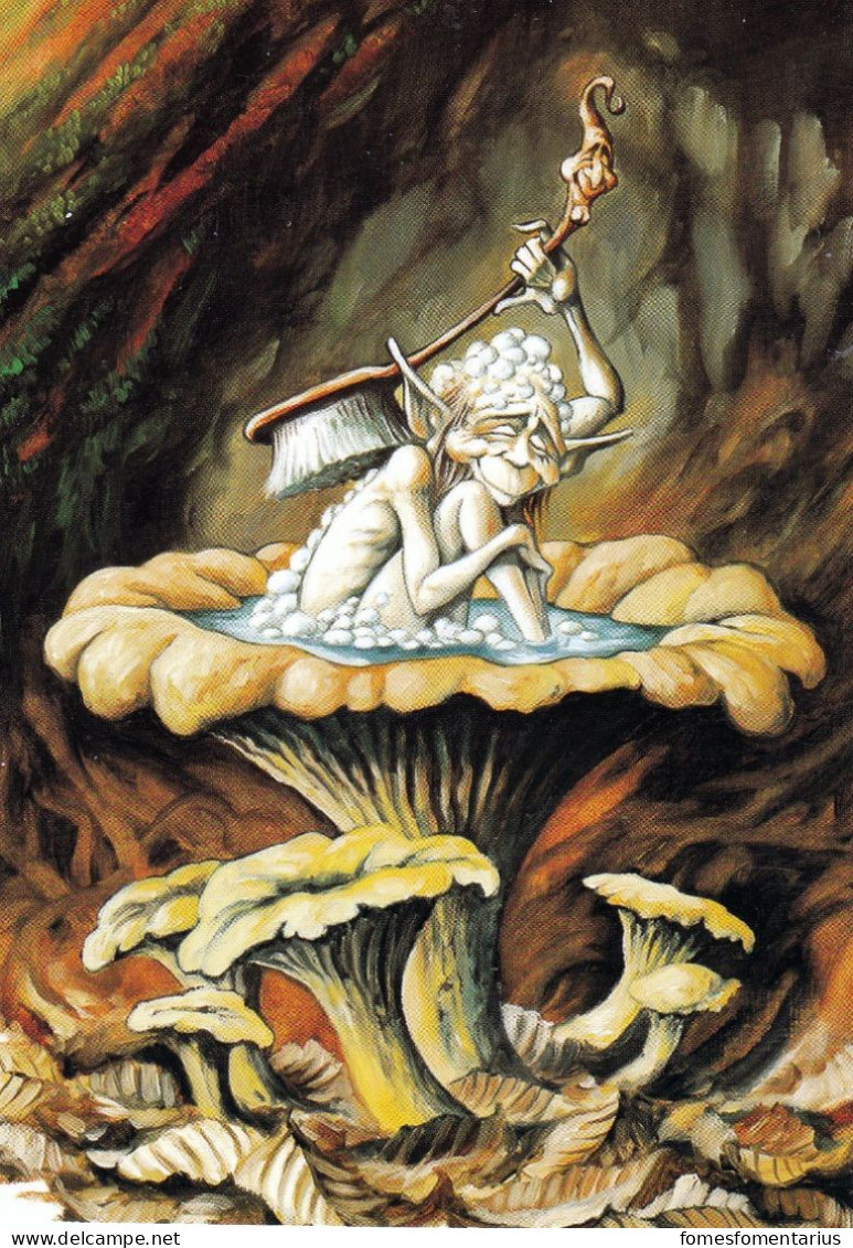 Carte Postale Humoristique" Le Bain"extrait Du "Grand Livre Des Korrigans) Girolles - Mushrooms