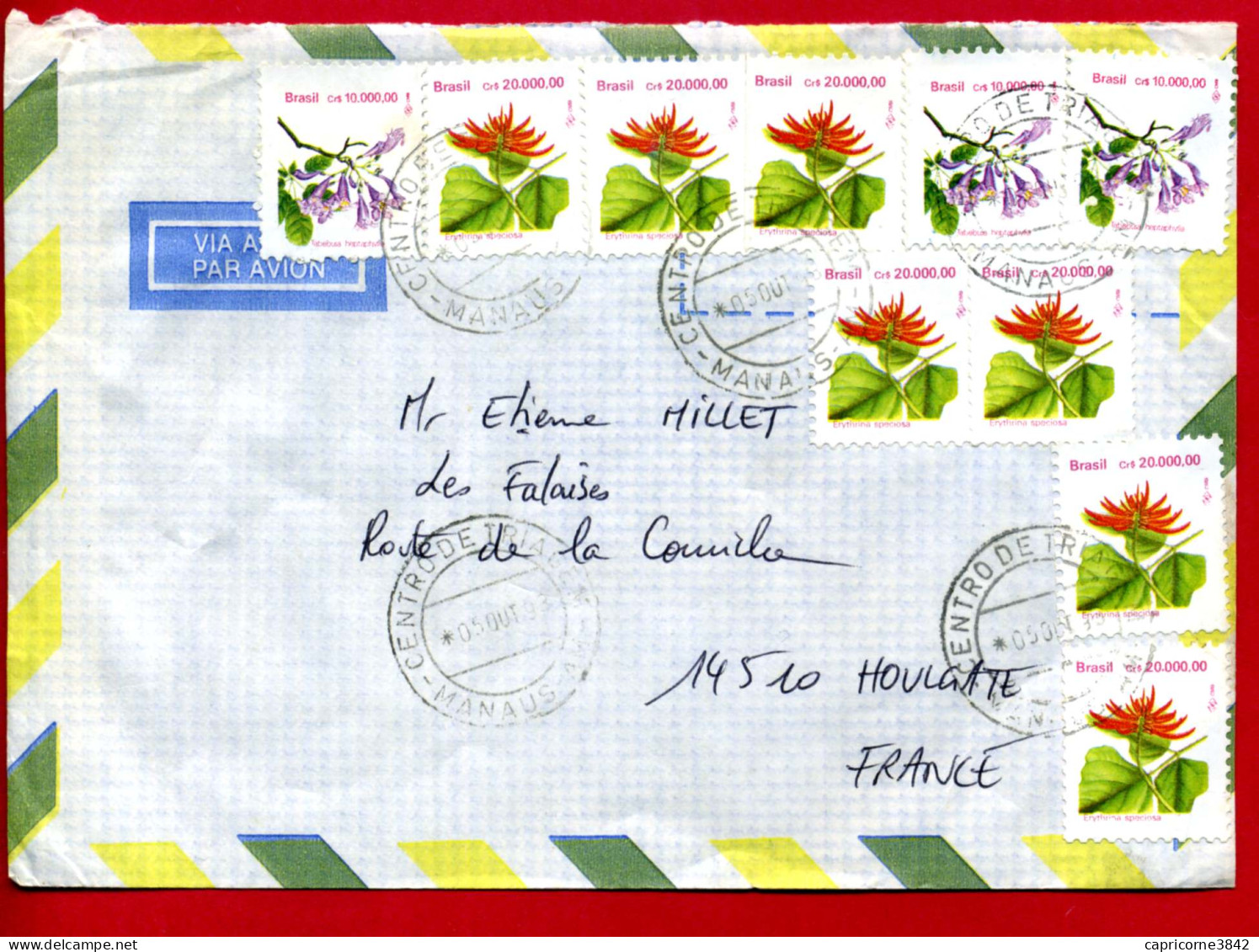 1993 - Lettre Pour La France - 7 Tp Erythrina Speciosa N°2131 + 3 Tp Tabebuia Heptaphylla N° 2096 - Briefe U. Dokumente