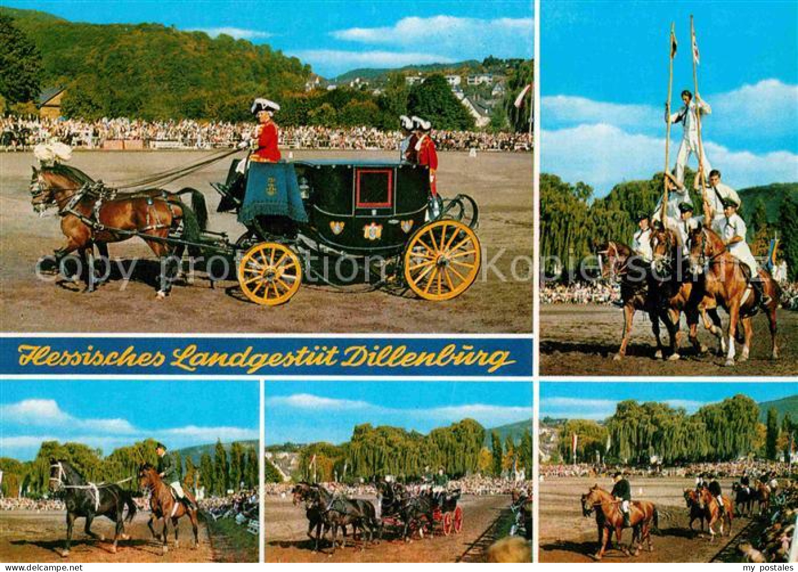 72763633 Dillenburg Hessisches Landgestuet Hengstparade Dillenburg - Dillenburg