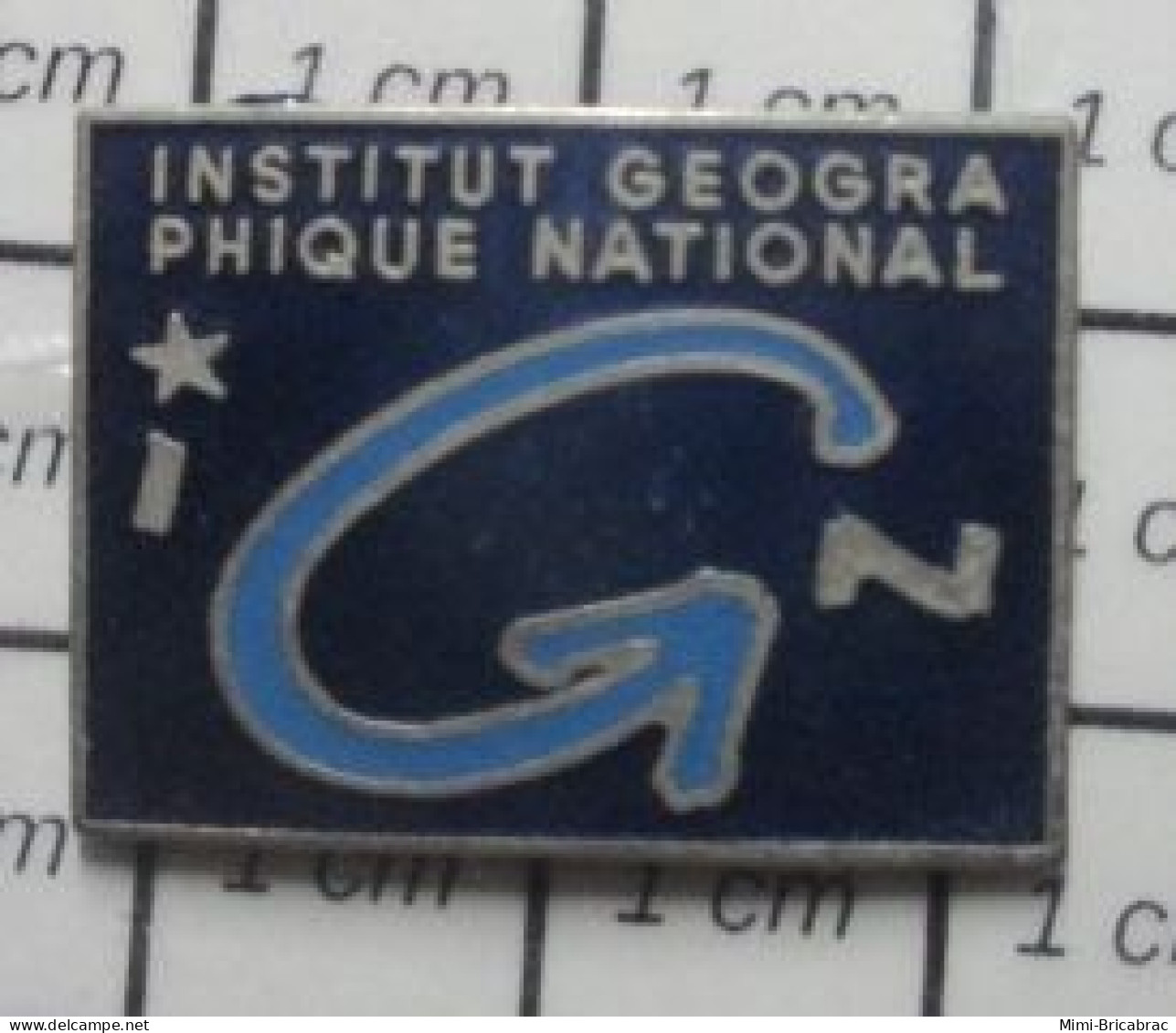 511A Pin's Pins / Beau Et Rare / ADMINISTRATIONS / IGN INSTITUT GEOGRAPHIQUE NATIONAL - Administración