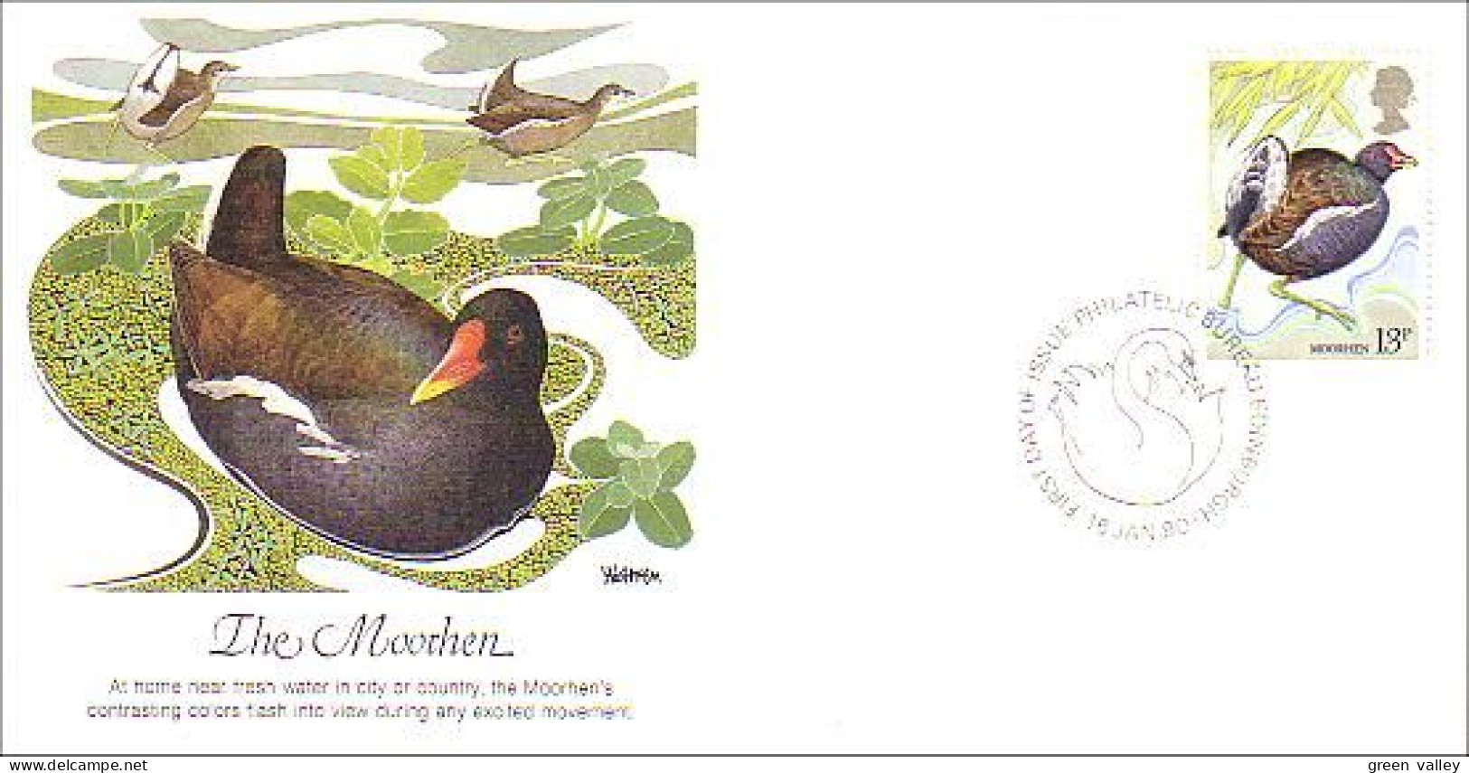 British Birds Moorhen Poule D'eau FDC Cover ( A80 678) - Gallinacées & Faisans