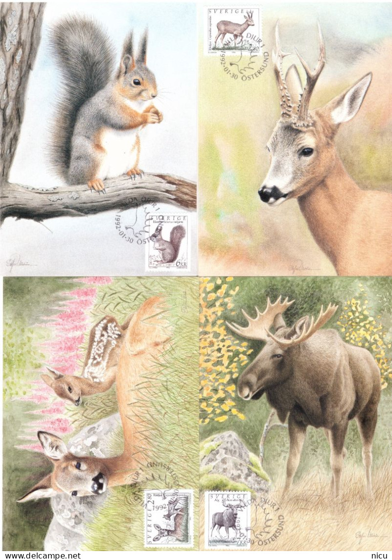 1992 - WILD ANIMALS - Maximum Cards & Covers