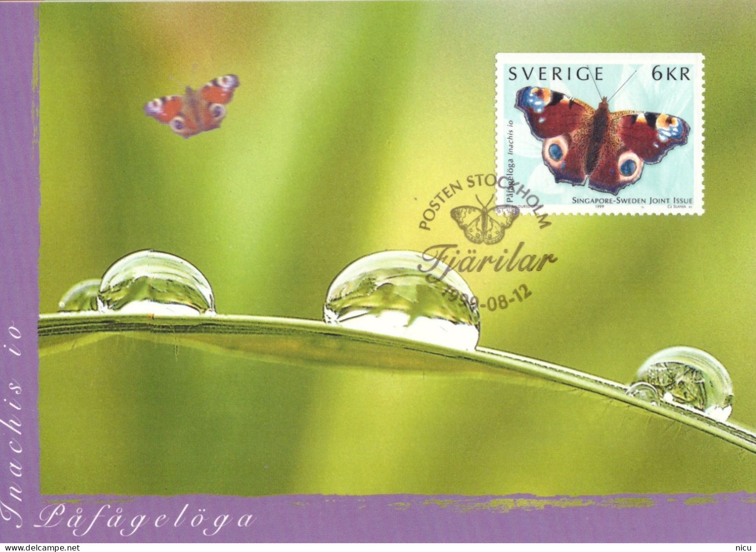 1999 - BUTTERFLIES - COMMON ISSUE SINGAPORE - SWEDEN - Maximumkarten (MC)