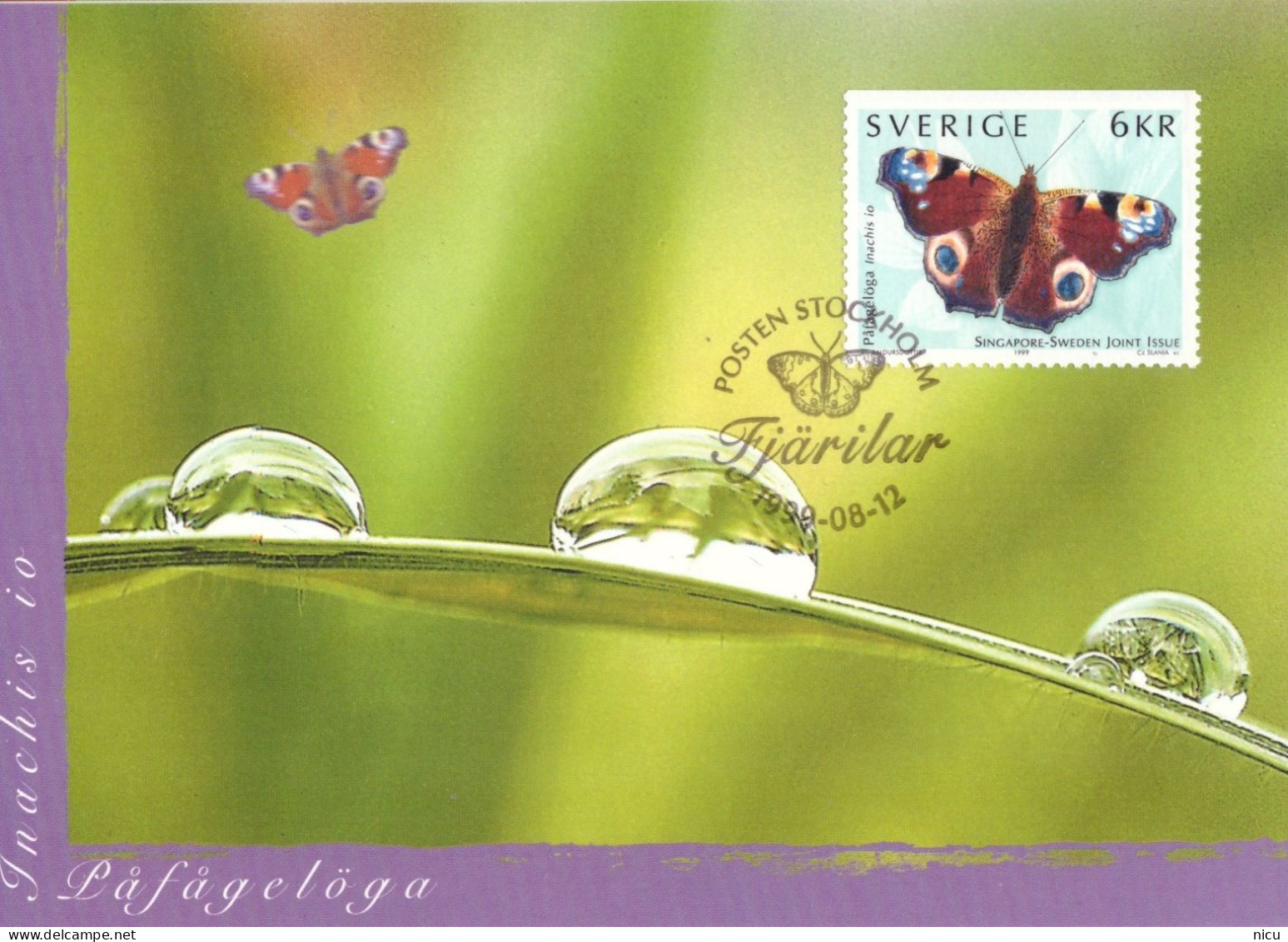 1999 - BUTTERFLIES - COMMON ISSUE SINGAPORE - SWEDEN - Maximum Cards & Covers