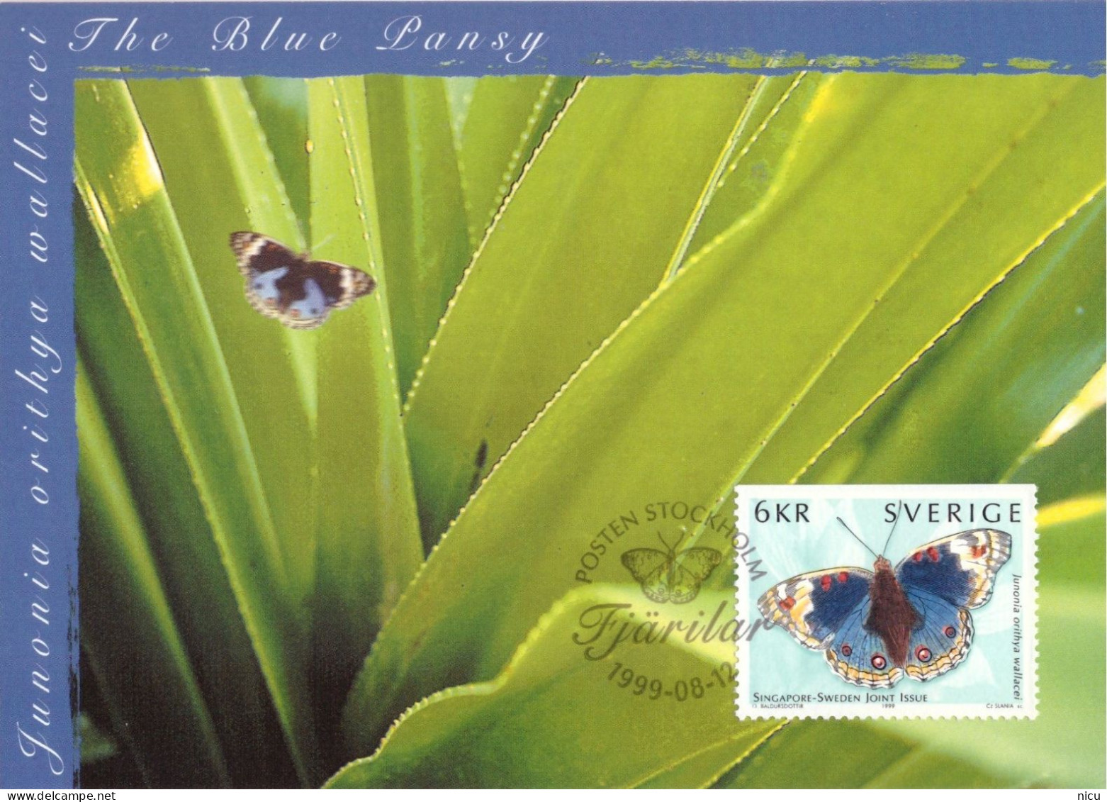 1999 - BUTTERFLIES - COMMON ISSUE SINGAPORE - SWEDEN - Cartes-maximum (CM)