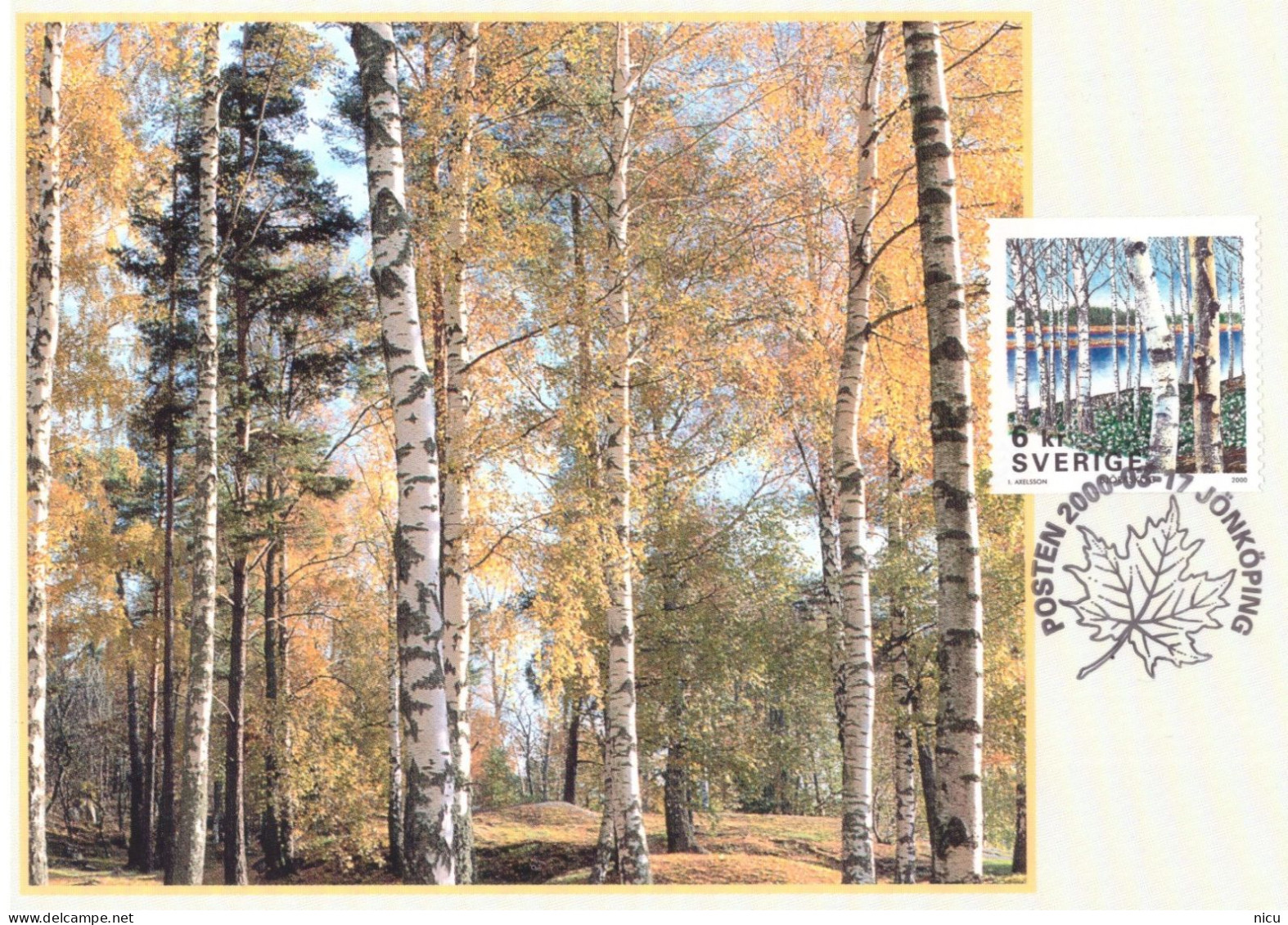 2000 - FORESTS - Cartoline Maximum