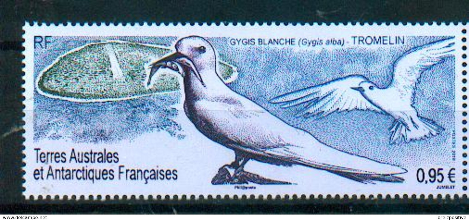 TAAF / French Southern Antarctic Territories 2019 - Gygis Blanche / White Tern / Gygis Alba - MNH - Mouettes