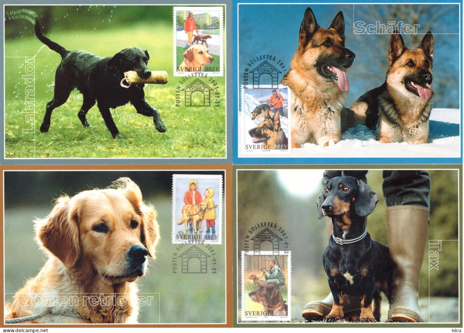 2001 - DOGS - Cartes-maximum (CM)