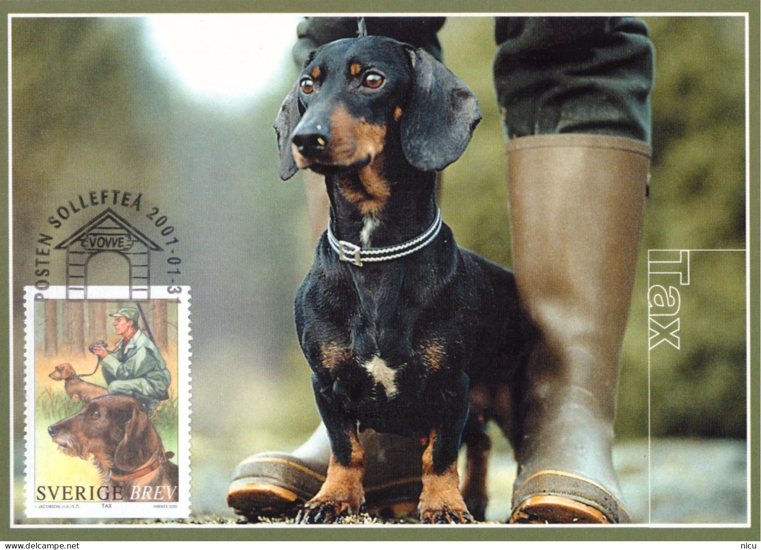 2001 - DOGS - Maximum Cards & Covers