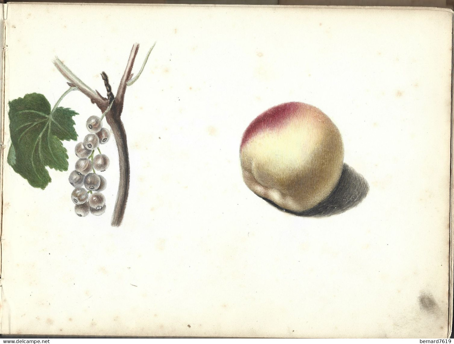 Carnet  De Dessins Originaux - Par Alfred Lambert De Chalons Sur Marne Vers 1895 - Fruit - Reims - Amiens - Gisors-tri - Dibujos