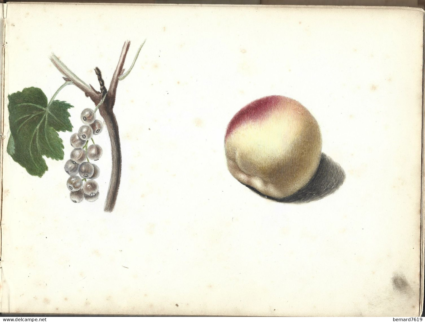 Carnet  De Dessins Originaux - Par Alfred Lambert De Chalons Sur Marne Vers 1895 - Fruit - Reims - Amiens - Gisors-tri - Dessins