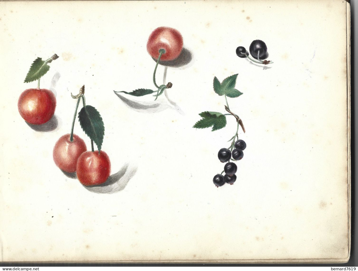 Carnet  De Dessins Originaux - Par Alfred Lambert De Chalons Sur Marne Vers 1895 - Fruit - Reims - Amiens - Gisors-tri - Dessins