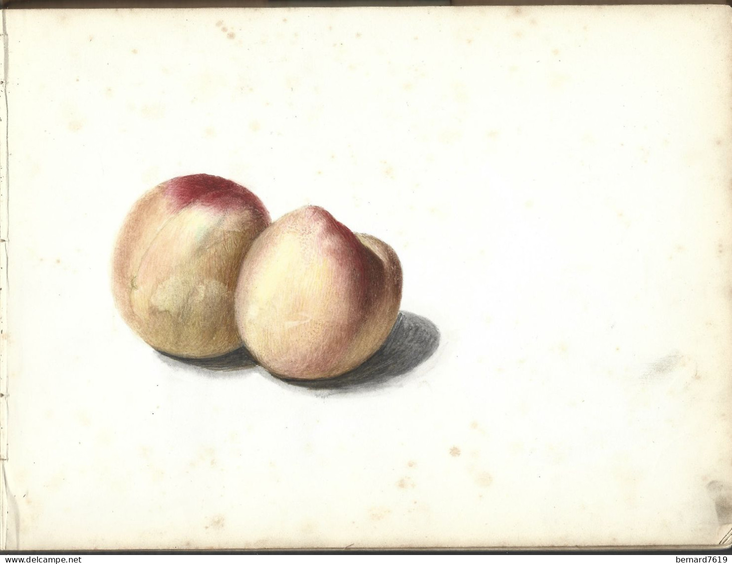 carnet  de dessins originaux - par alfred lambert de chalons sur marne vers 1895 - fruit - reims - amiens - gisors-tri