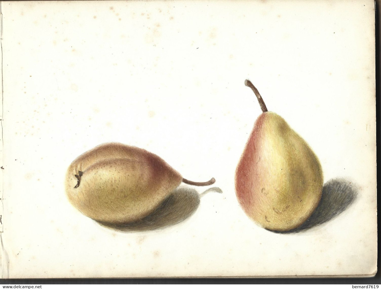 carnet  de dessins originaux - par alfred lambert de chalons sur marne vers 1895 - fruit - reims - amiens - gisors-tri