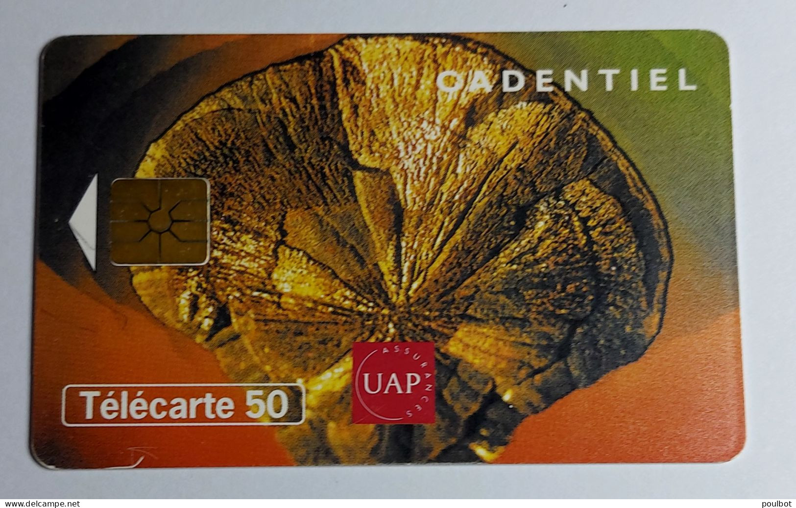 Télécarte En 1519 UAP Cadentiel - 50 Unità  