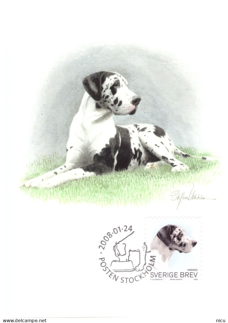 2008 - DOGS - Cartoline Maximum