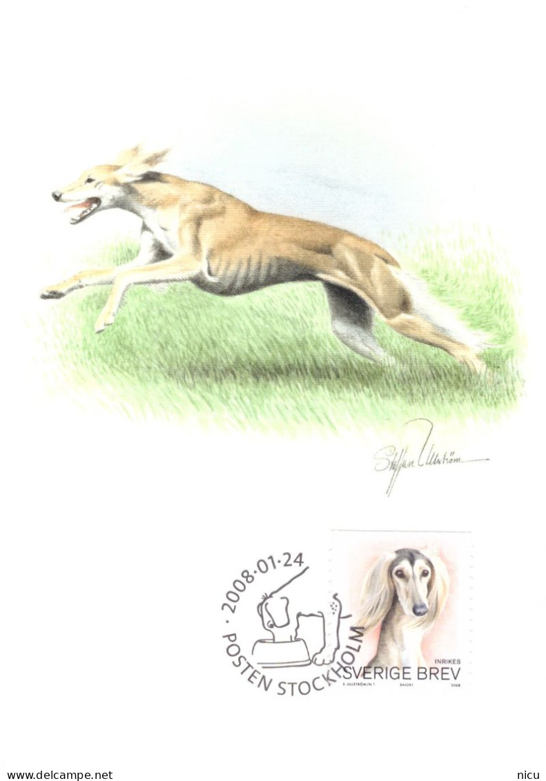 2008 - DOGS - Tarjetas – Máxima