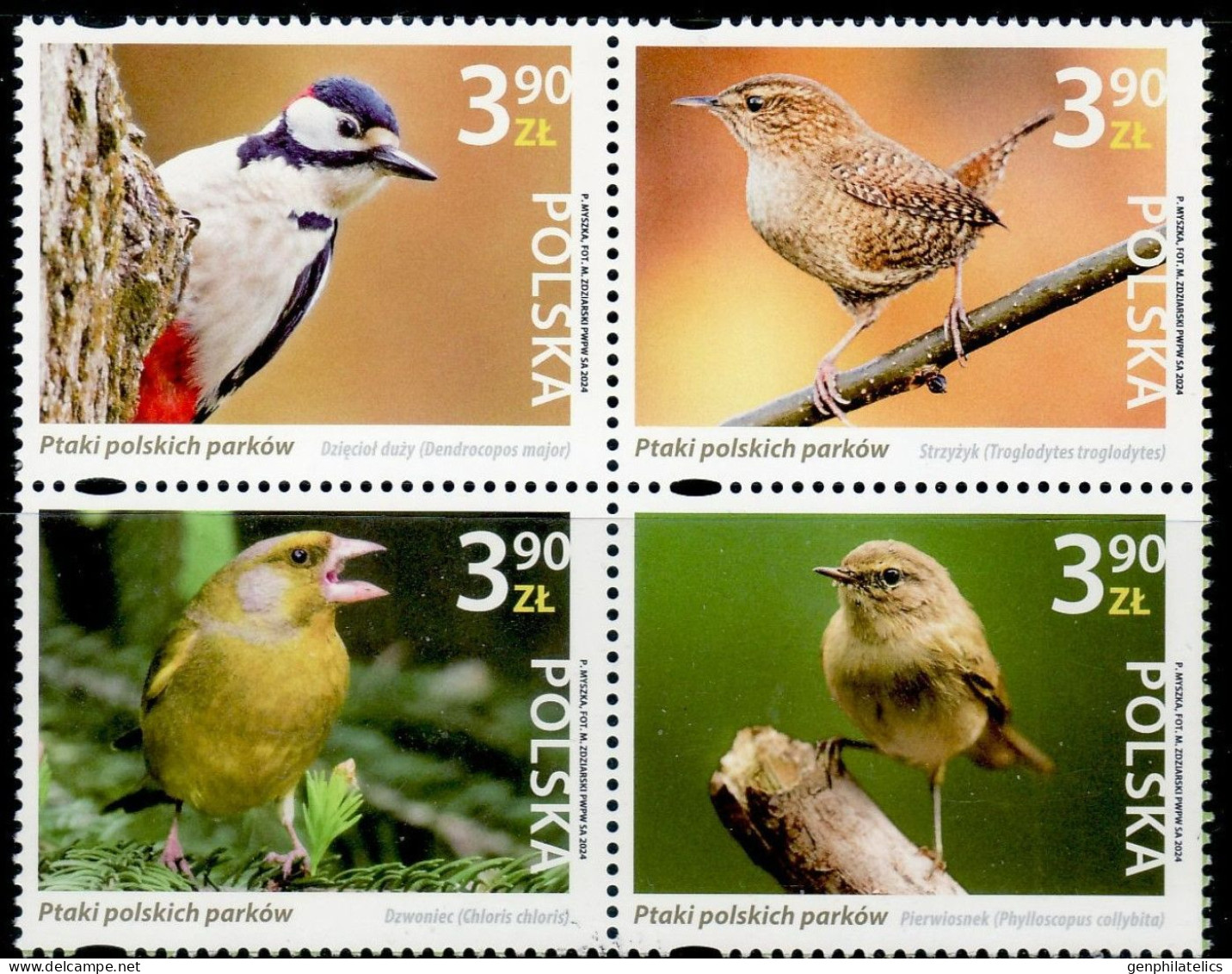 POLAND 2024 FAUNA Animals BIRDS - Fine Set MNH - Neufs