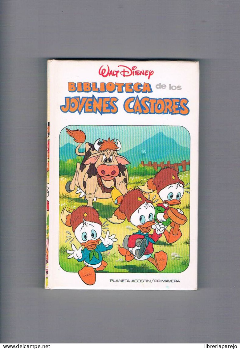 Biblioteca De Los Jovenes Castores 25 Walt Disney Planeta Agostini 1988 - Other & Unclassified