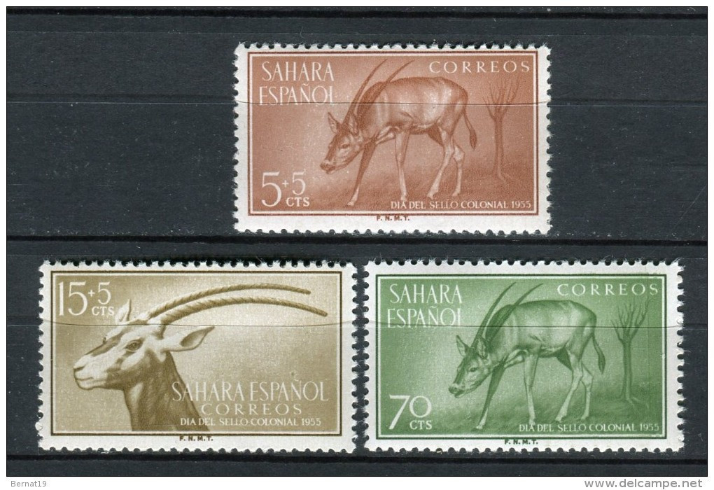 Sahara 1955 Edifil 123-25 ** MNH - Spanische Sahara