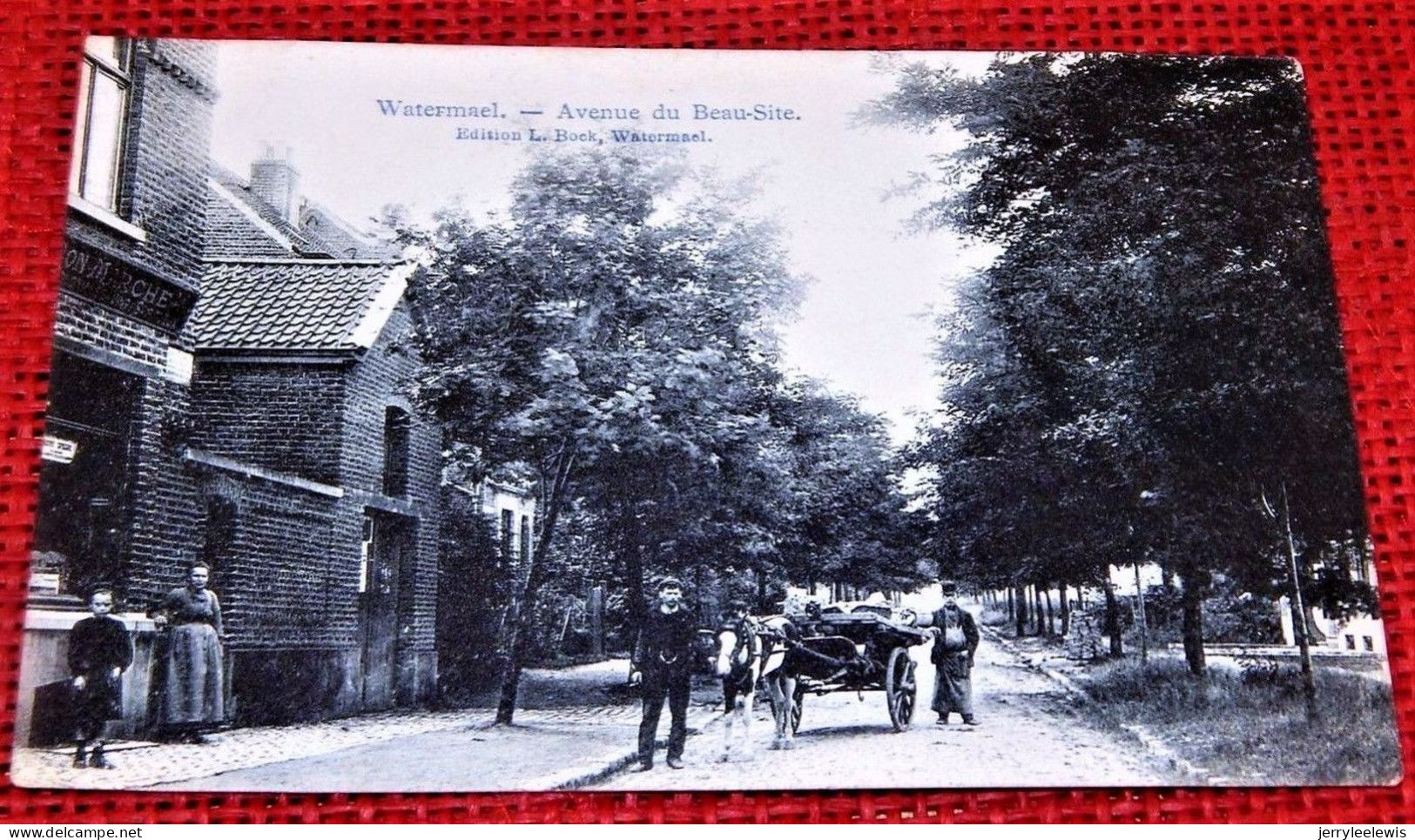 BRUXELLES  - WATERMAEL -  Avenue Du Beau-Site - Watermaal-Bosvoorde - Watermael-Boitsfort