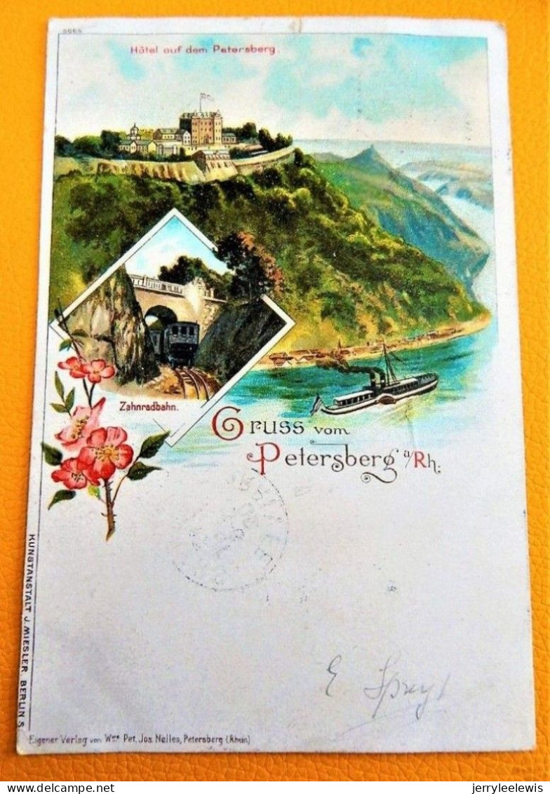 PETERSBERG   -  Hôtel Auf Dem Petersberg - Zahnradbahn  - - Petersberg