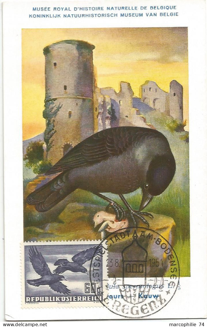 AUSTRIA CARD MAXIMUM OISEAUX BREGENZ 3.8.1954 - Maximumkaarten