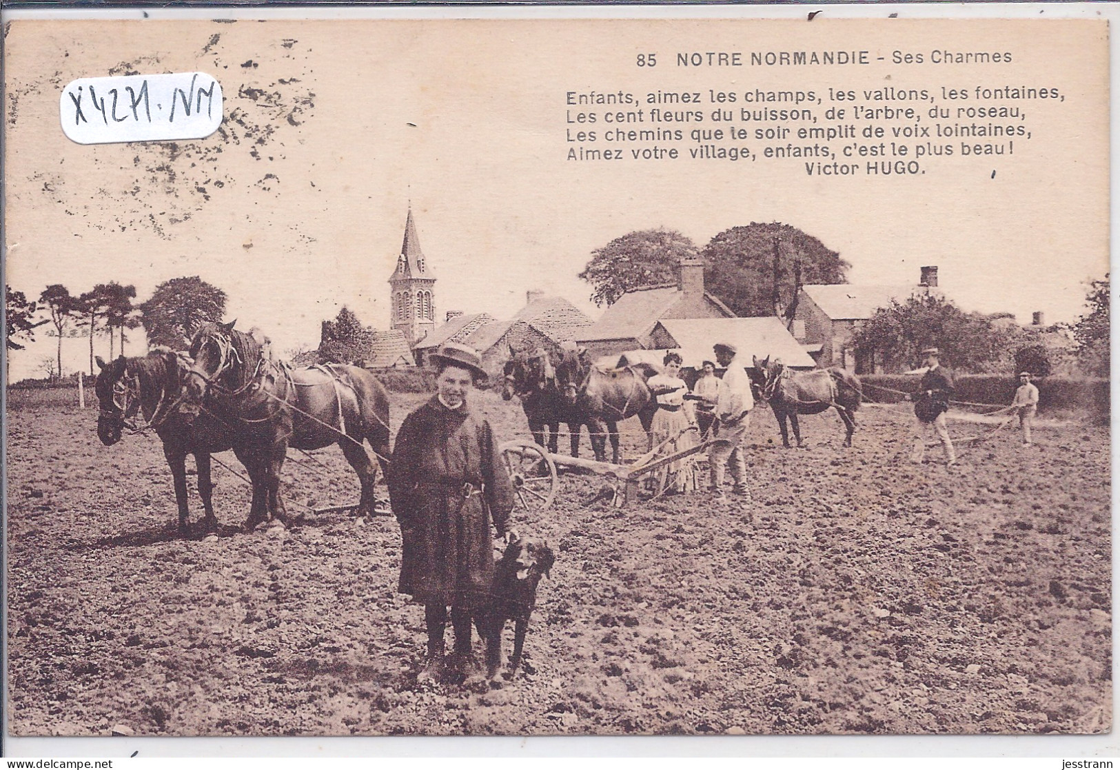 NOTRE NORMANDIE-SES CHARMES- LES LABOURS- ATTELAGES AGRICOLES - Basse-Normandie