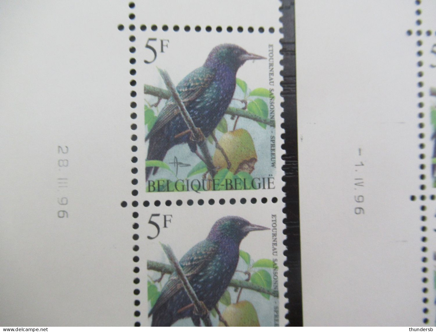 2638 'Buzin: Spreeuw' - Hoekdatums - Postfris ** - 1985-.. Pájaros (Buzin)