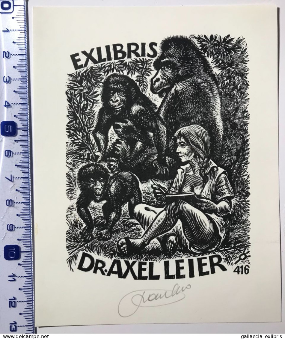 Exlibris Frank-Ivo Van Damme, 1999. Dian Fossey Gorille. Ex-libris Frank-Ivo Van Damme, 1999. Dian Fossey Gorilla - Exlibris