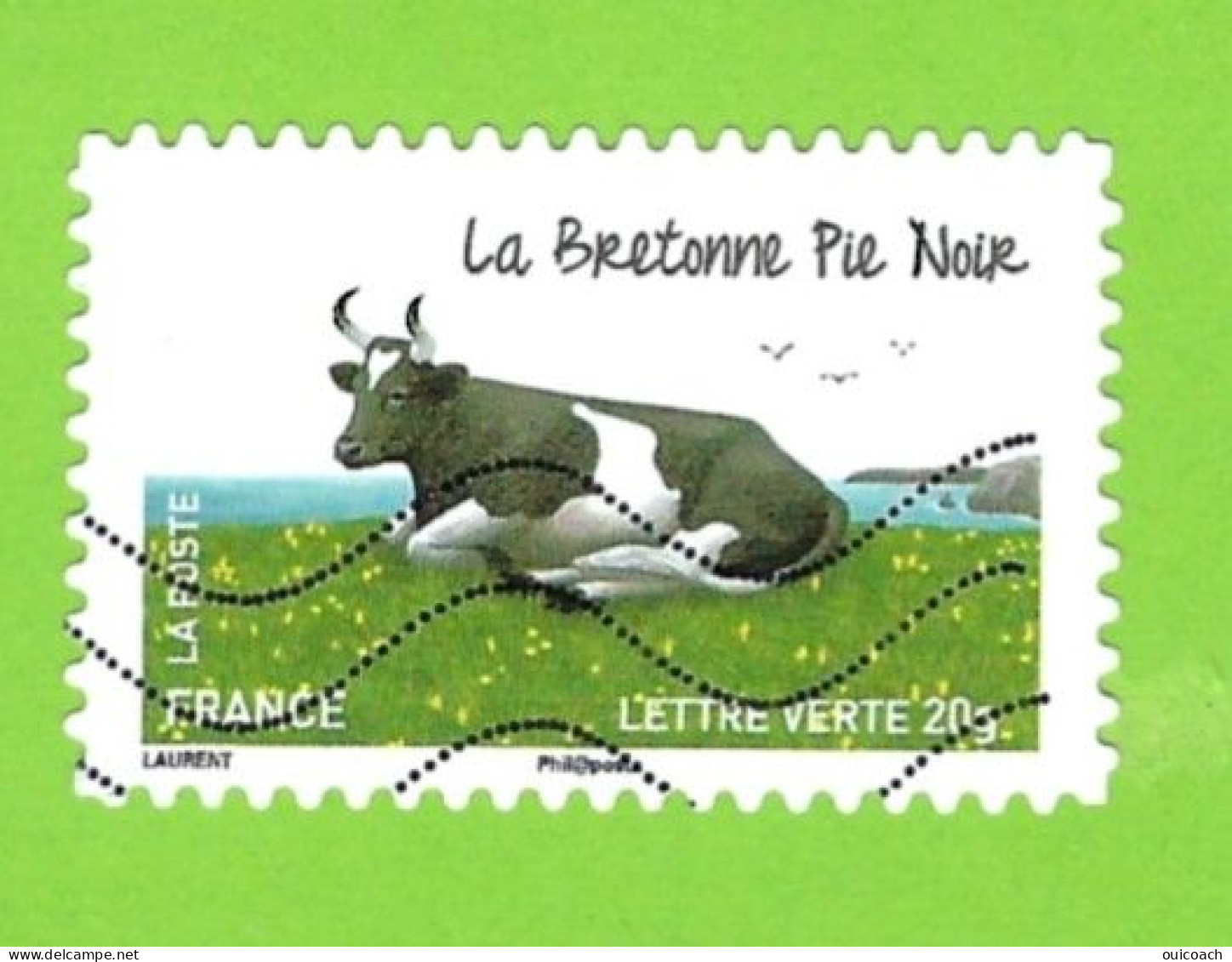 Vache Bretagne Pie Noir, 953 - Mucche