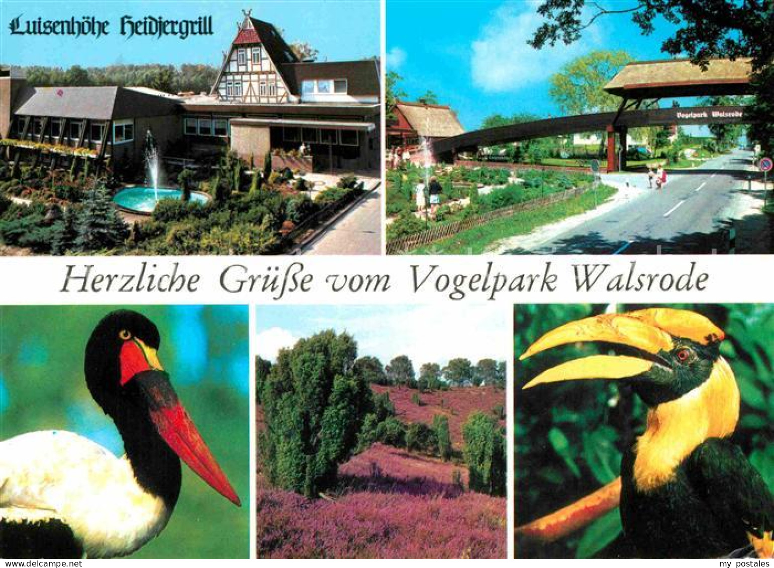 72756287 Walsrode Lueneburger Heide Vogelpark Luisenhoehe Heidjergrill Walsrode - Walsrode