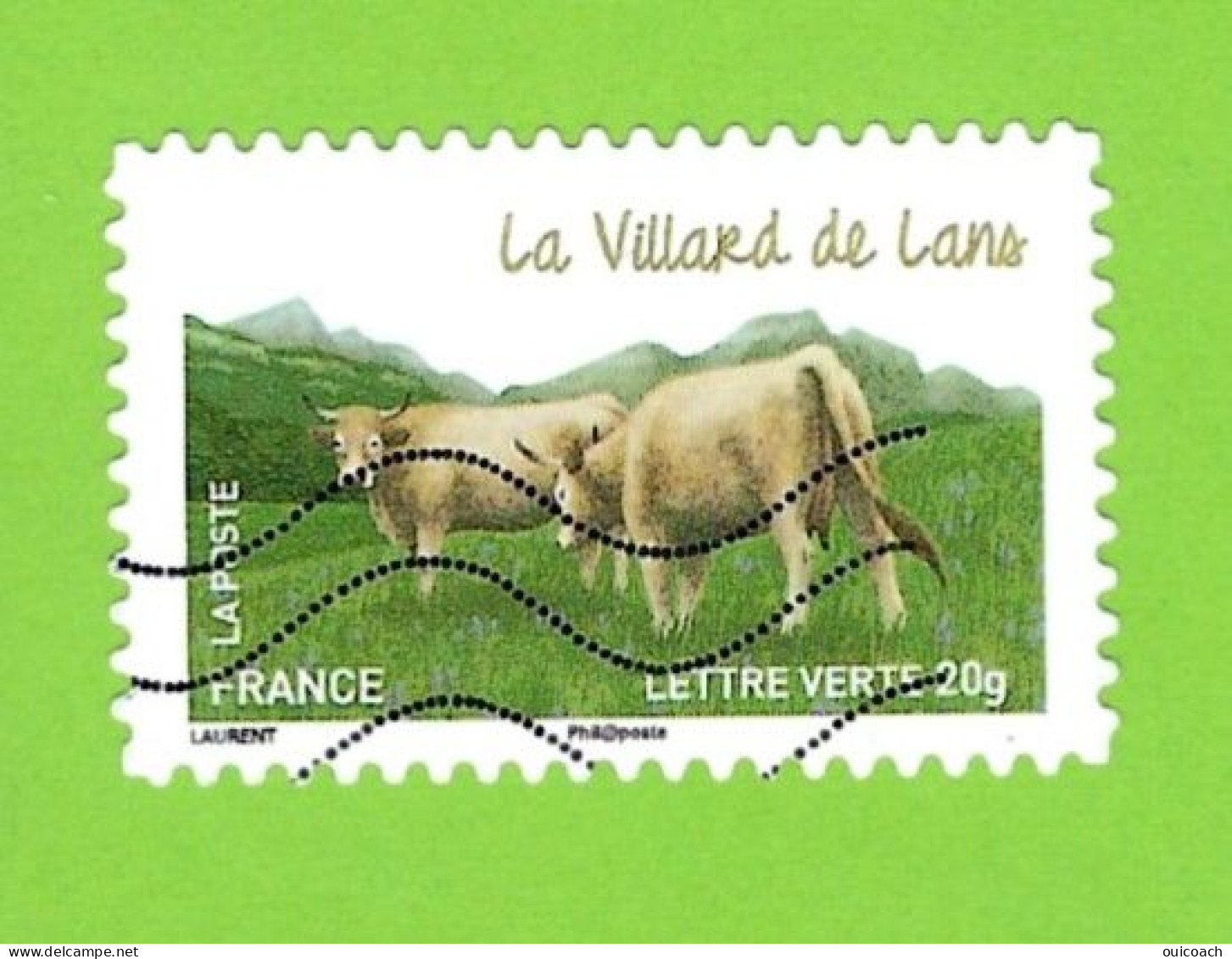 Vache Vercors, Alpes, 958 - Mucche