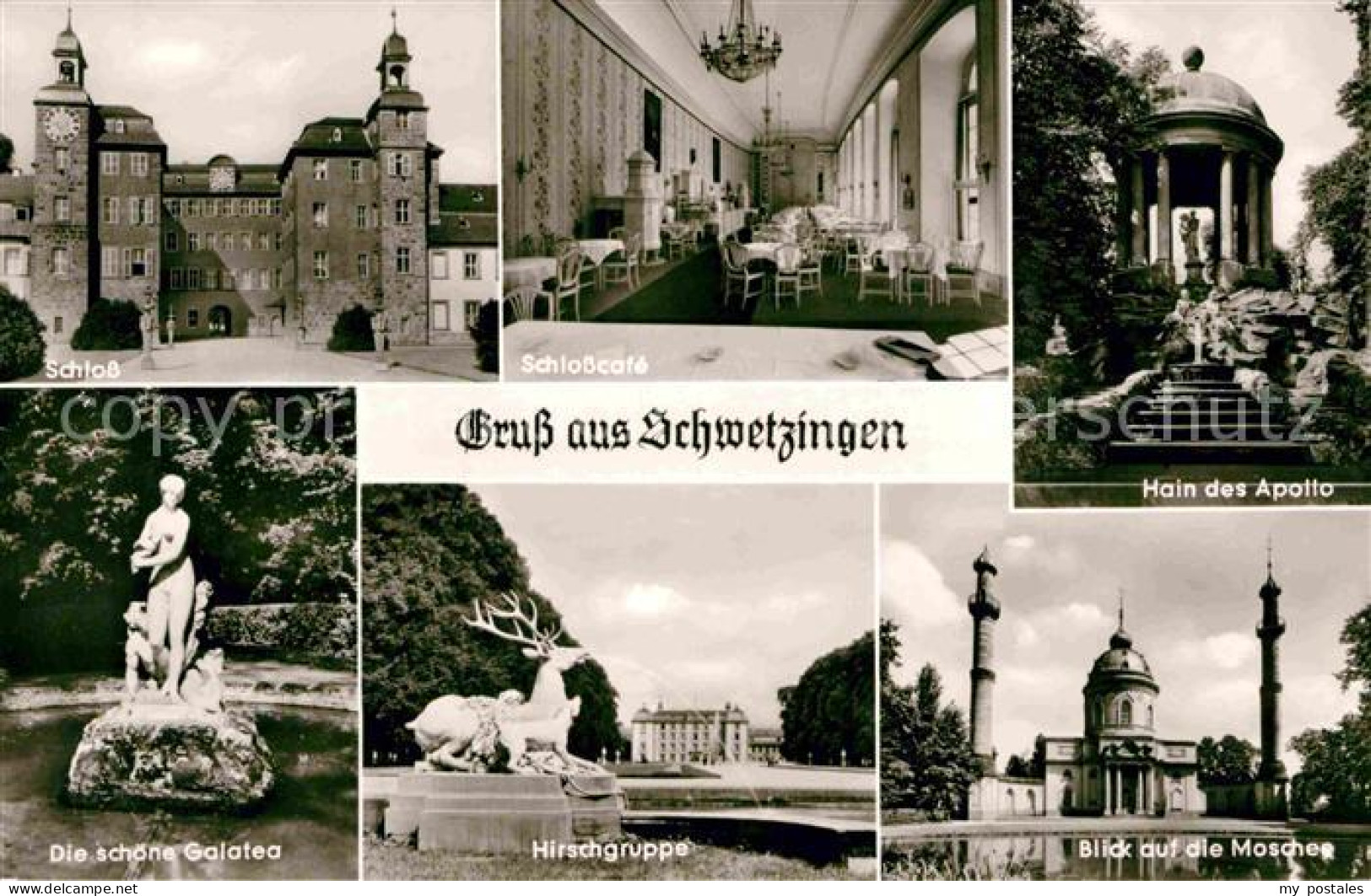 72706667 Schwetzingen Hain Des Apollo Moschee Hirschgruppe Schoene-Galatea Schlo - Schwetzingen