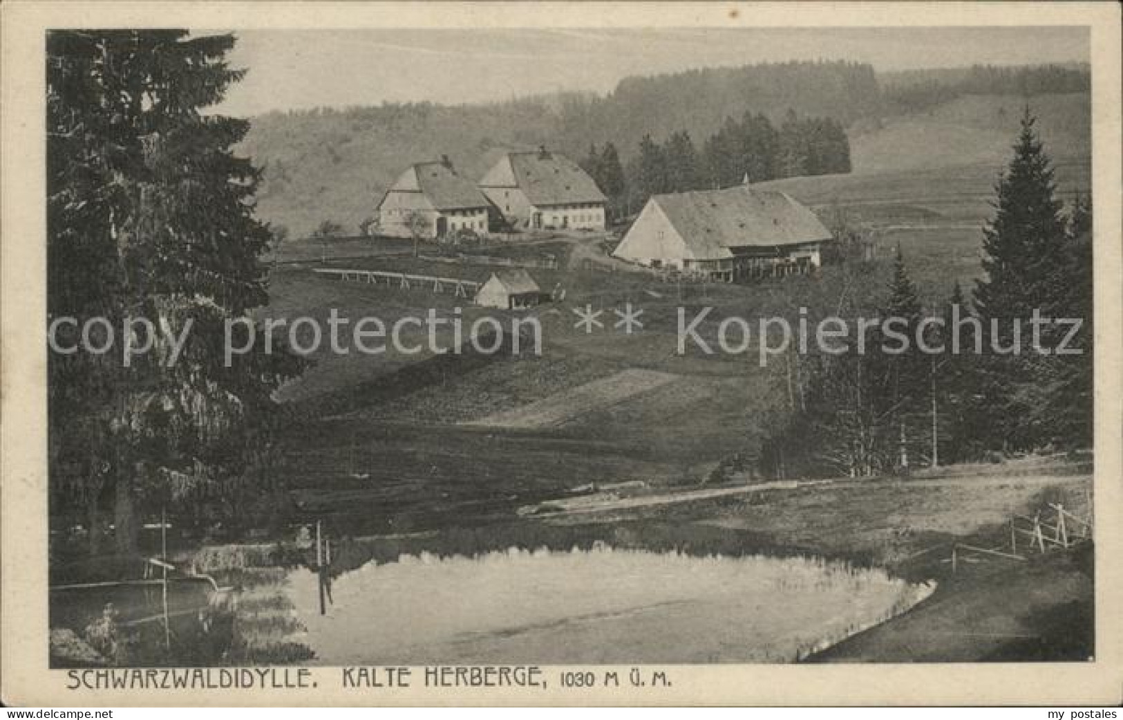 41607576 Kalte Herberge Schwarzwaldidylle Furtwangen Im Schwarzwald - Furtwangen