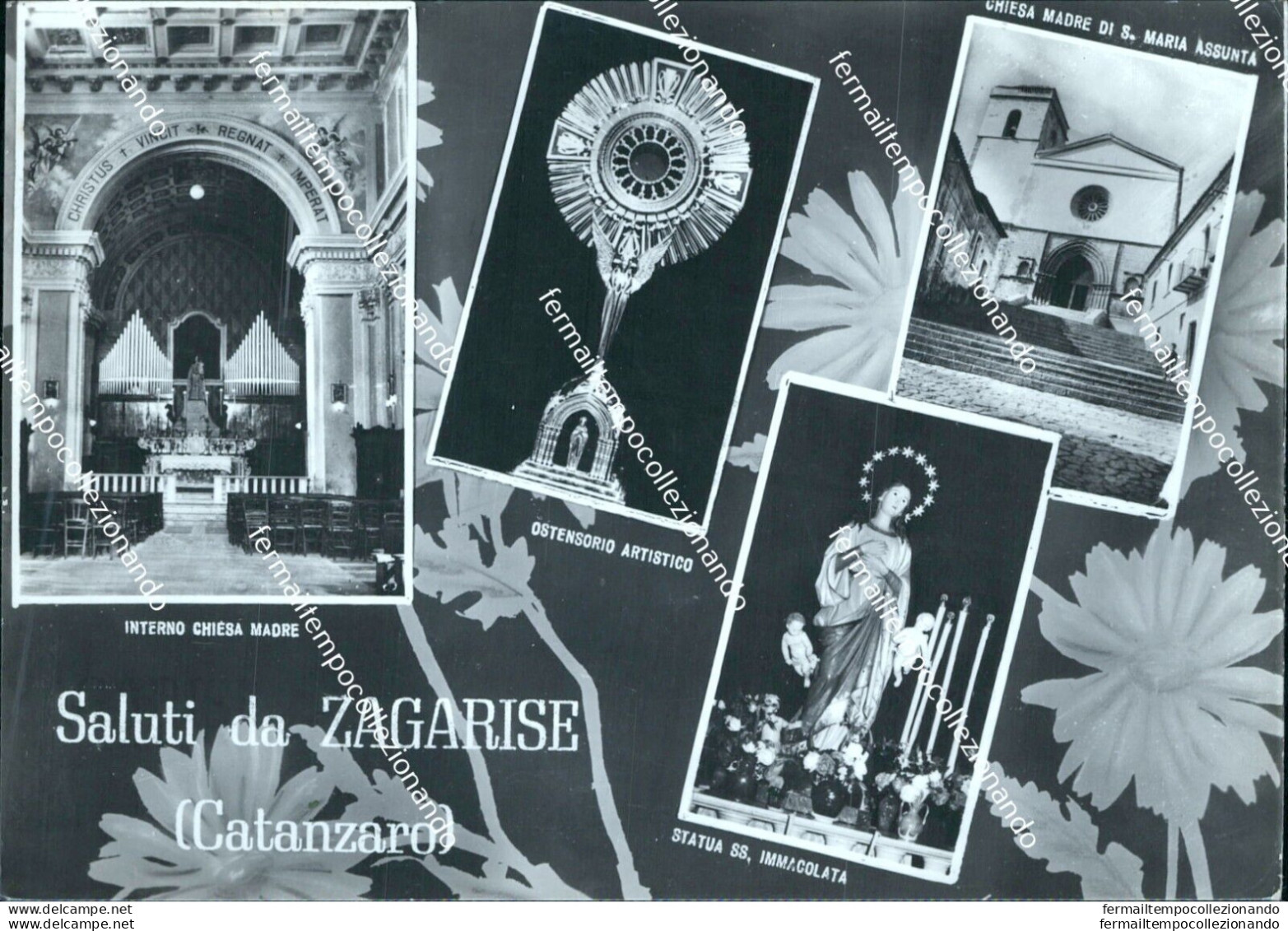 Ci489 Cartolina Saluti Da Zagarise Provincia Di Catanzaro Calabria - Catanzaro