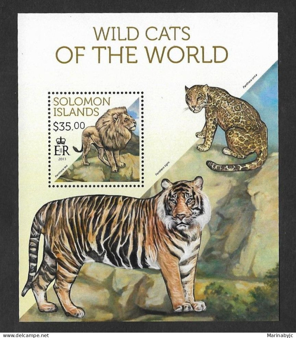 SD)2011 SOLOMON ISLANDS  WILDLIFE, CATS IN THE WORLD, LION, TIGER, CHEETAH, SOUVENIR SHEET, MNH - Islas Salomón (1978-...)