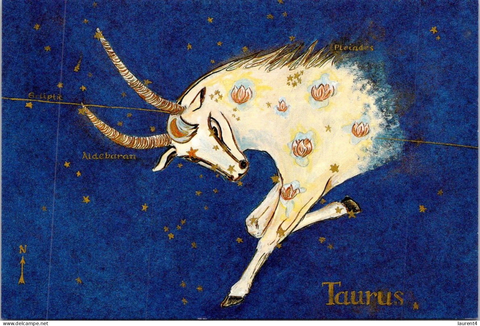 27-2-2024 (1 Y 21) Australia - Zodiac Sign - Taurus - Stieren