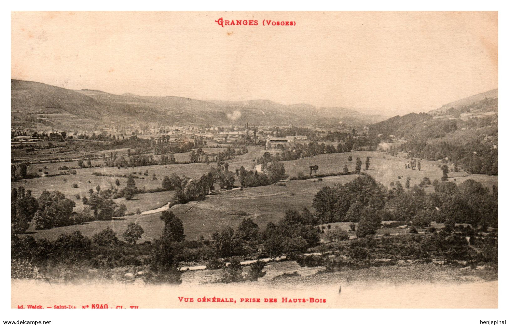 Granges - Vue Générale, Prise Des Hauts-Bois - Granges Sur Vologne