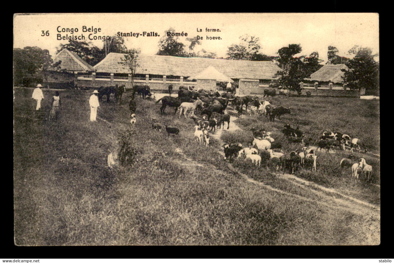 CONGO KINSHASA - LA FERME - Kinshasa - Léopoldville