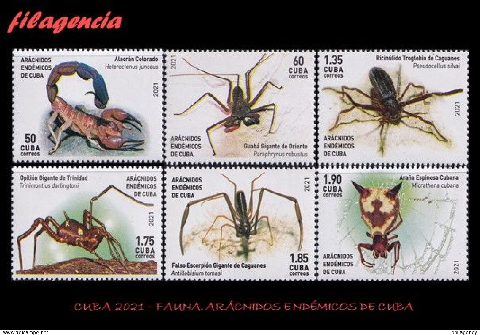 CUBA MINT. 2021-09 FAUNA. ARÁCNIDOS ENDÉMICOS DE CUBA - Neufs