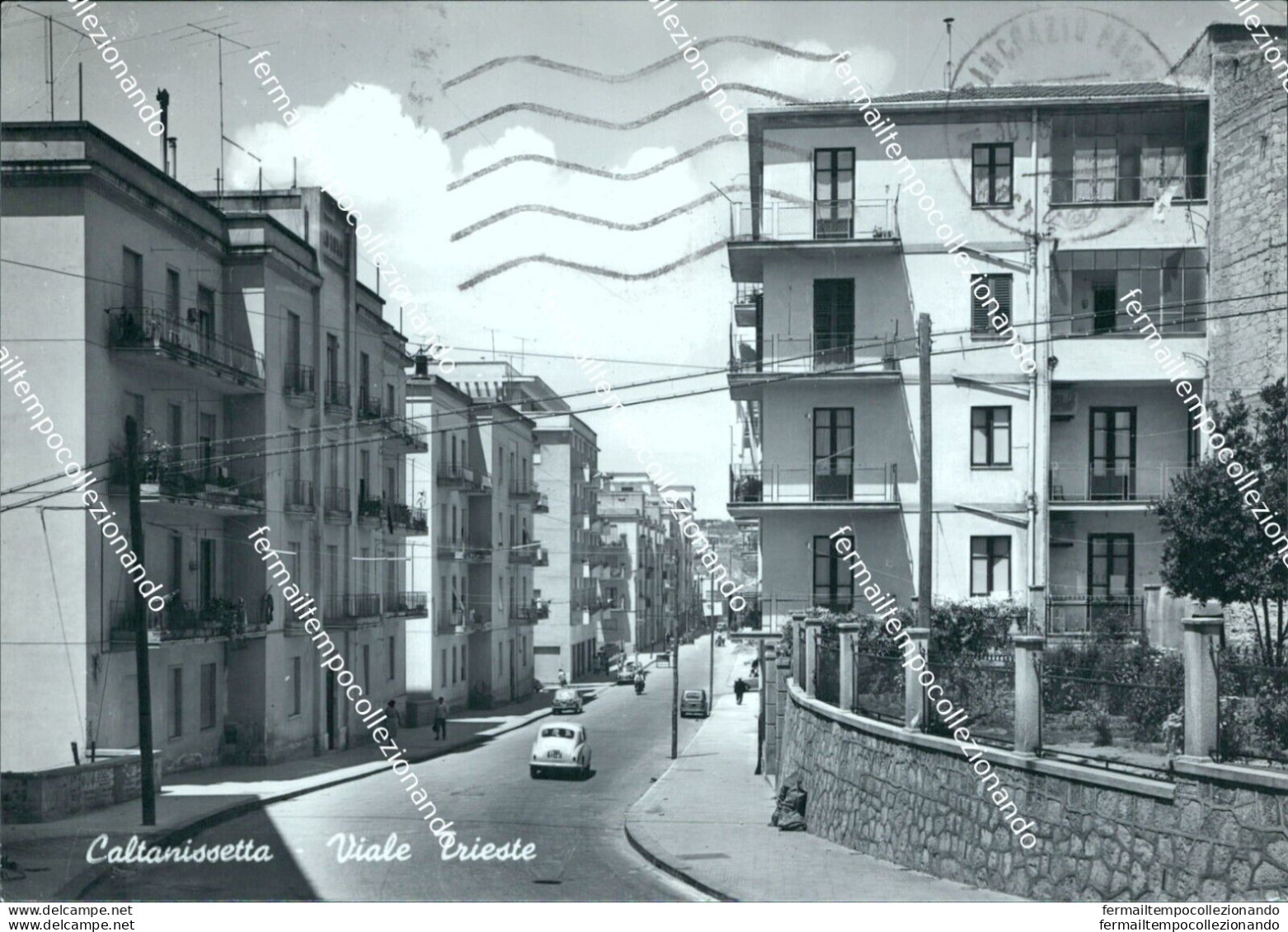 Ci582 Cartolina Caltanissetta Viale Trieste Sicilia - Caltanissetta