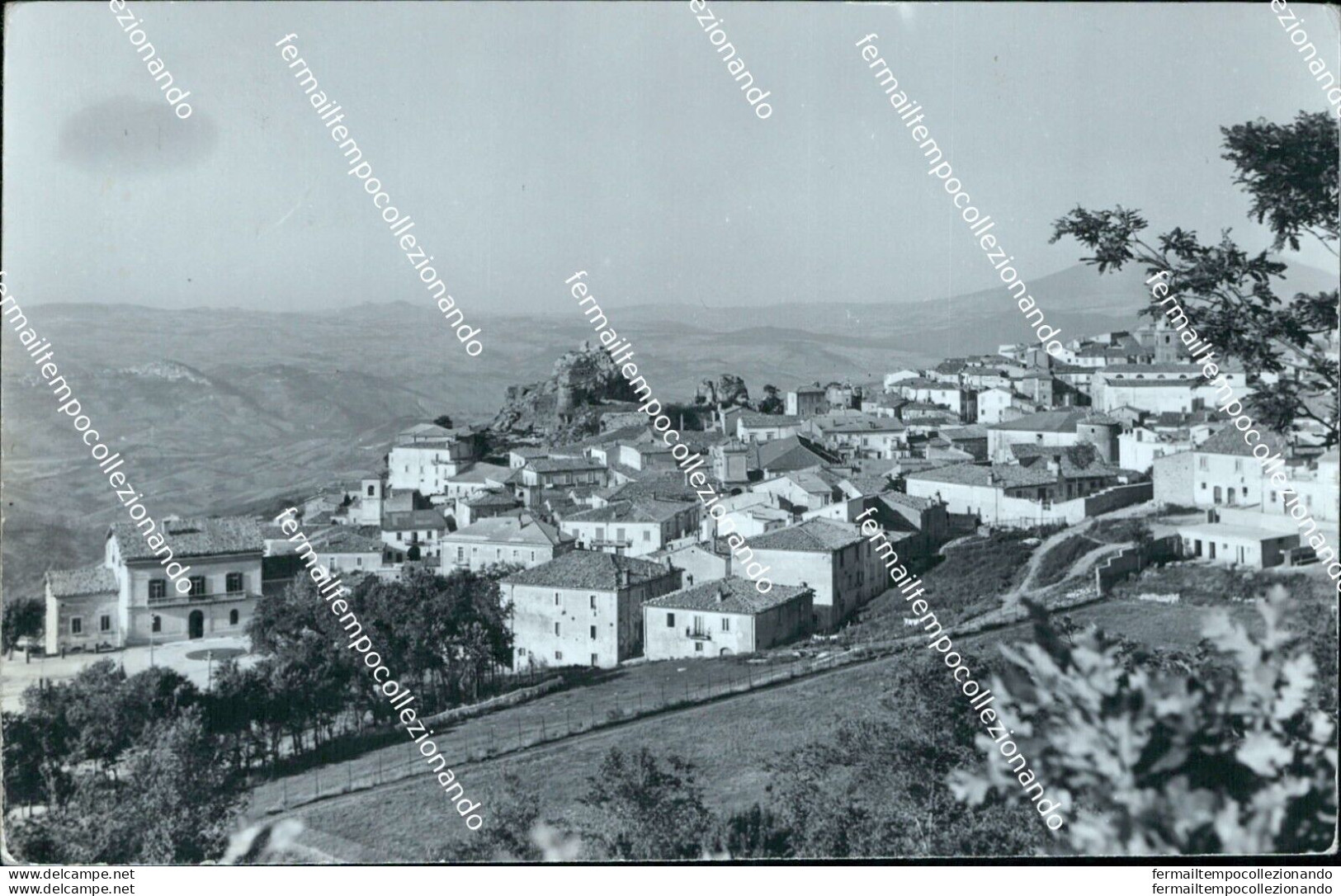 Ci575 Cartolina Pescopagano Panorama Provincia Di Potenza Basilicata - Potenza