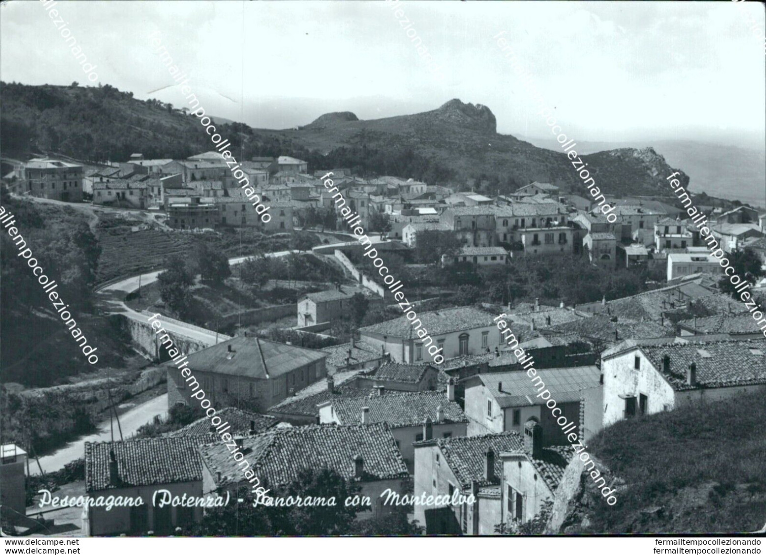 Ci577 Cartolina Pescopagano Panorama Provincia Di Potenza Basilicata - Potenza