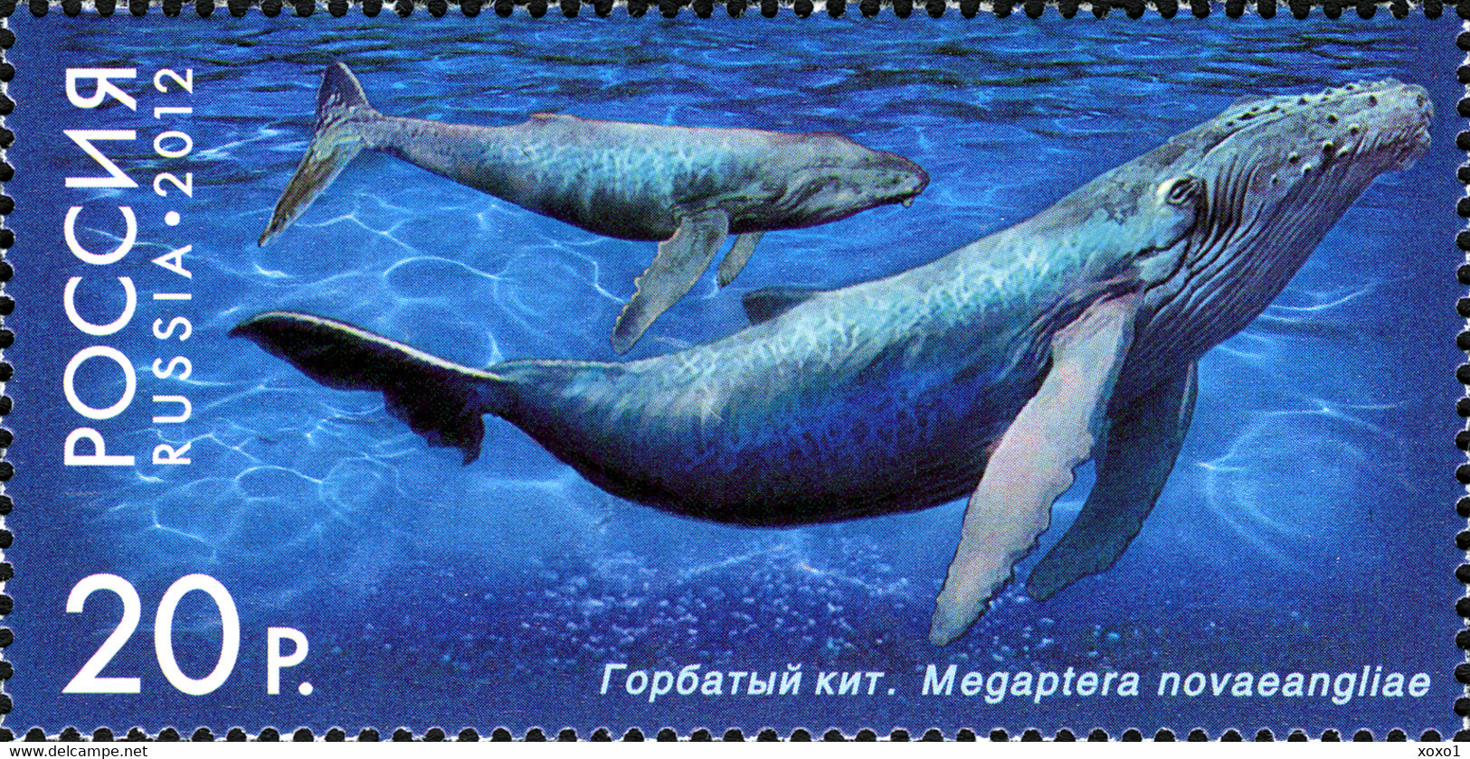 Russia 2012 MiNr. 1788 - 1789  Russland Marine Mammals  Whales 2 V  MNH** 4,20 € - Ballenas